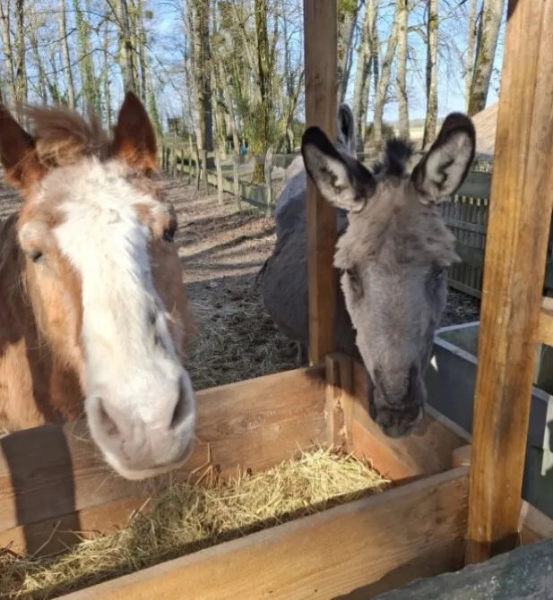 Château de Chambonnières