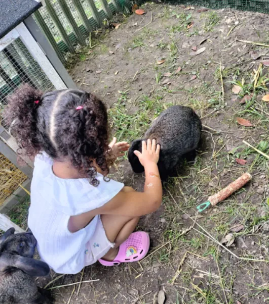 Château de Chambonnières