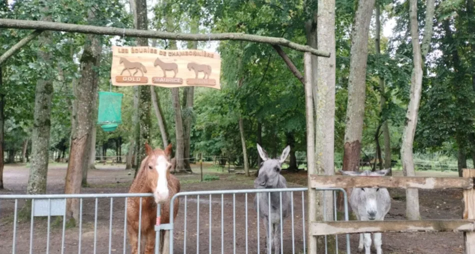 Château de Chambonnières