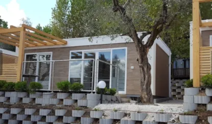 Baia New Project Plus