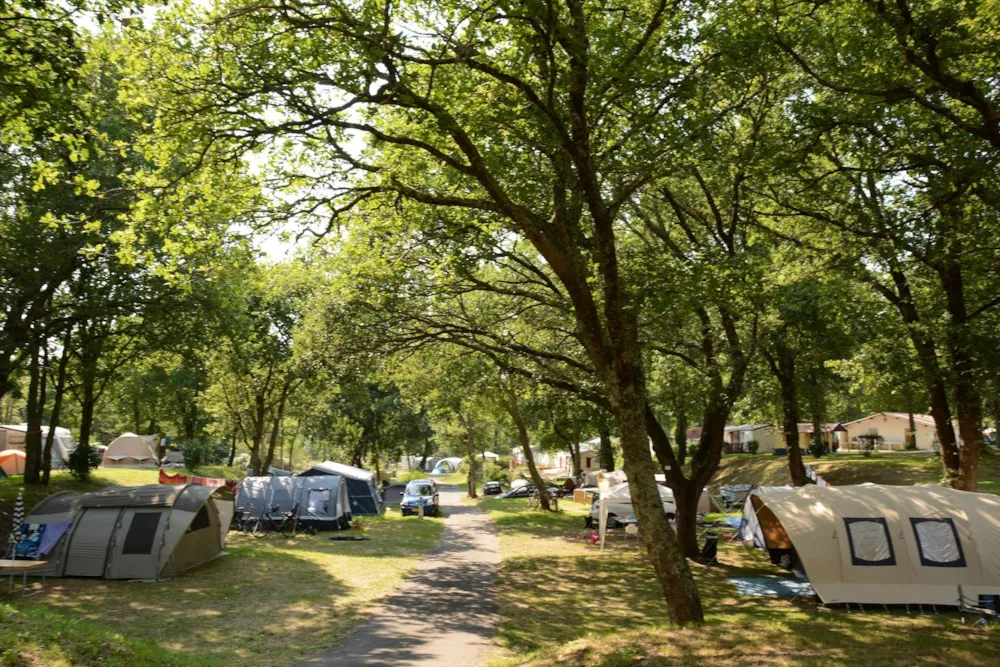 Le Logis du Breuil - image n°5 - Camping Direct