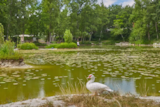 Foto #7 van Camping Homair – Le Parc des Allais