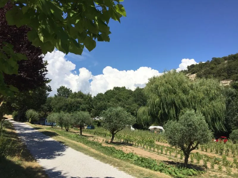 Camping Le Vallon des Oiseaux