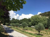 Foto #3 van Camping Le Vallon des Oiseaux