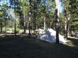 Foto #8 van Camping Le Vallon des Oiseaux