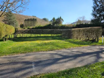 Stellplatz - Stellplatz Komfort - Camping Confort