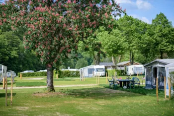 Stellplatz - Stellplatz - Camping Confort