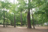 Foto #9 van Camping La Clairière