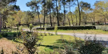 Stellplatz - Stellplatz Confort + 1 Fahrzeug - Wasser Und Strom - Camping La Clairière