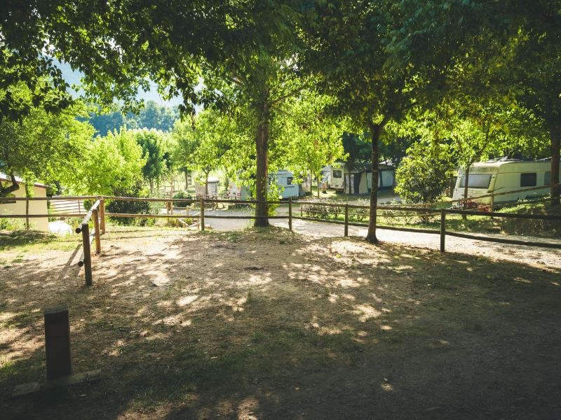 Piazzola XL