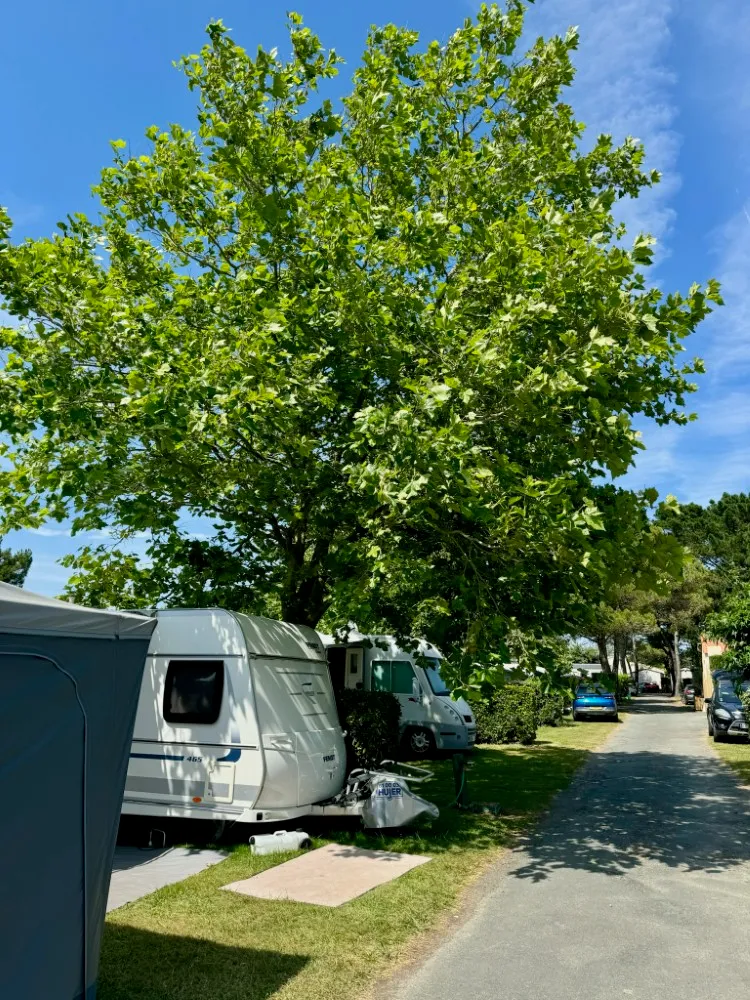 Emplacement - Forfait Emplacement Confort 90M² - Camping Le Chaponnet