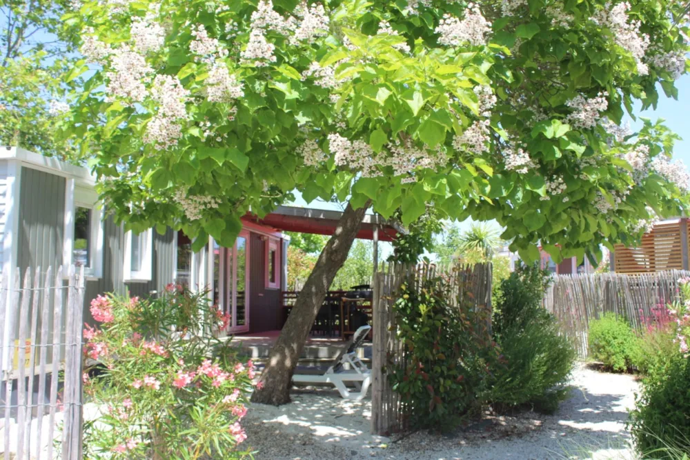 Location - Cottage Premium - 3 Chambres - 2 Salles De Bains - Draps, Serviettes, Plancha, Forfait Ménage Inclus - Camping Le Chaponnet