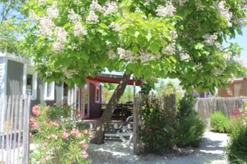 Mietunterkunft - Cottage Premium - 3 Schlafzimmer - 2 Badezimmer - Camping Le Chaponnet