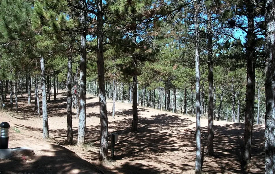 Camping Las Cabañas