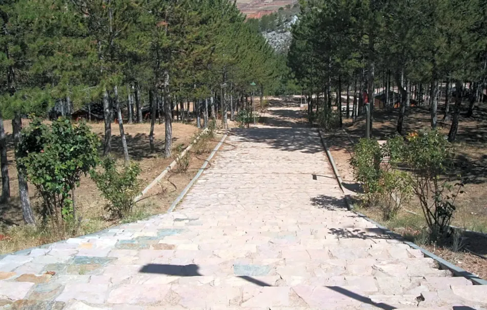 Camping Las Cabañas