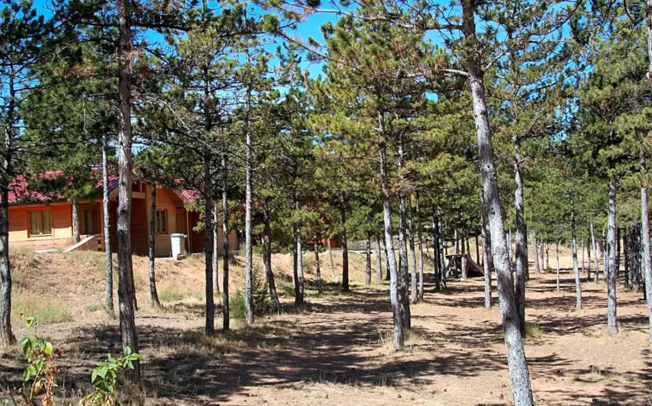 Camping Las Cabañas