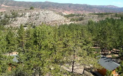 Camping Las Cabañas - image n°2 - Camping Direct