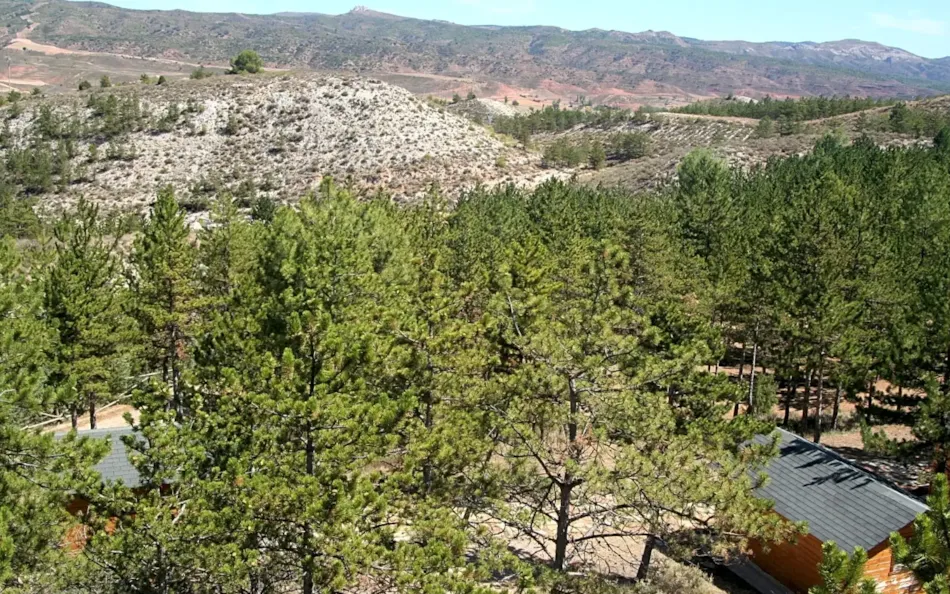 Camping Las Cabañas