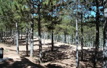 Stellplatz - Komfort Parzelle - Camping Las Cabañas