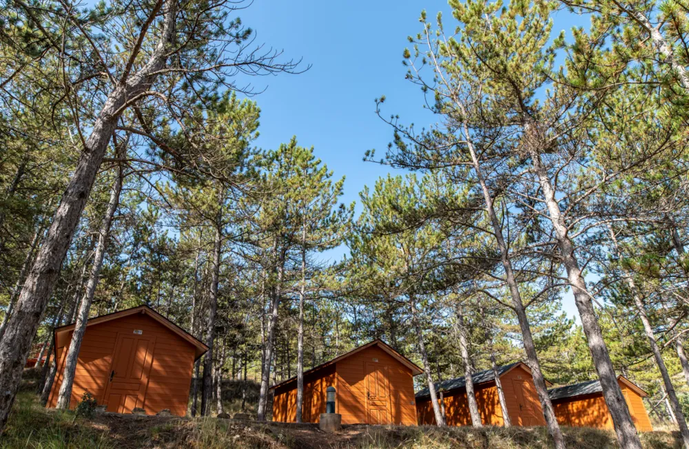 Camping Las Cabañas