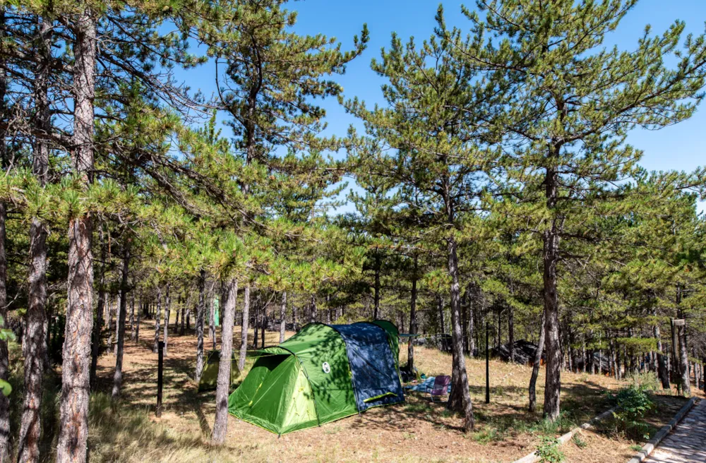 Camping Las Cabañas