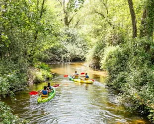 Camping La Forêt Paloma - image n°3 - Camping Direct