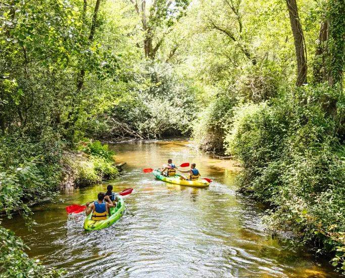 Camping La Forêt Paloma