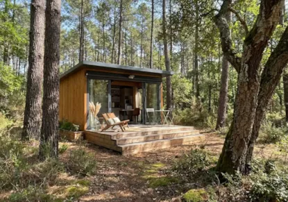 La Suite - 20M²- 1 Chambre