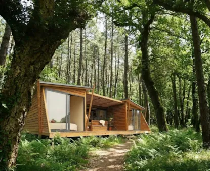 La Cabane Des Chênes - 35M² - 2 Chambres