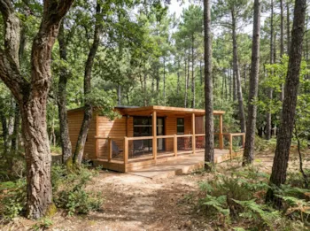 Mietunterkunft - La Cabane Des Chênes Pmr (Angepasst An Personen Mit Eingeschränkter Mobilität) - 35M² - 2 Zimmer - La Forêt Paloma
