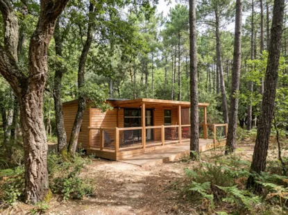 La Cabane Des Chênes Pmr (Adattato Per Persone Con Mobilità Ridotta) - 35M² - 2 Camere Da Letto