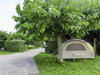 Comfort Pitch Small for tent (with electricity) — 1