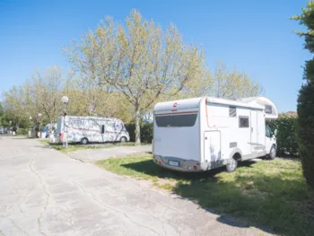 Stellplatz - Komfort Stellplatz Large Zelt/Van/Wohnwagen/Wohnmobil (Mit Strom) - Camping City