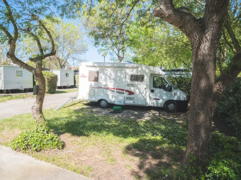 Emplacement Confort Large Tente/Van/Caravane/Camping-Car (Avec Électricité)