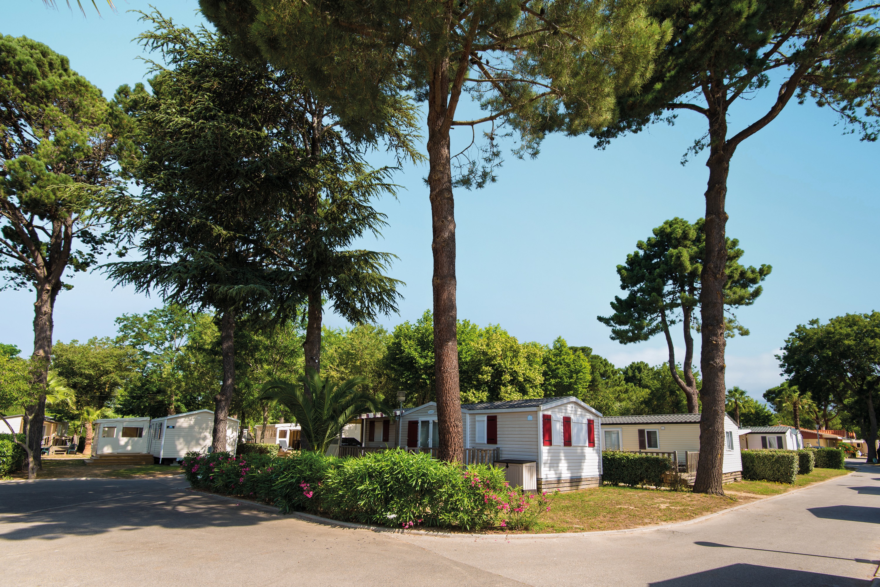 Camping Club MS Le Littoral - Occitania - Image n°10 Camping Club MS Le Littoral - Occitania - Image n°10