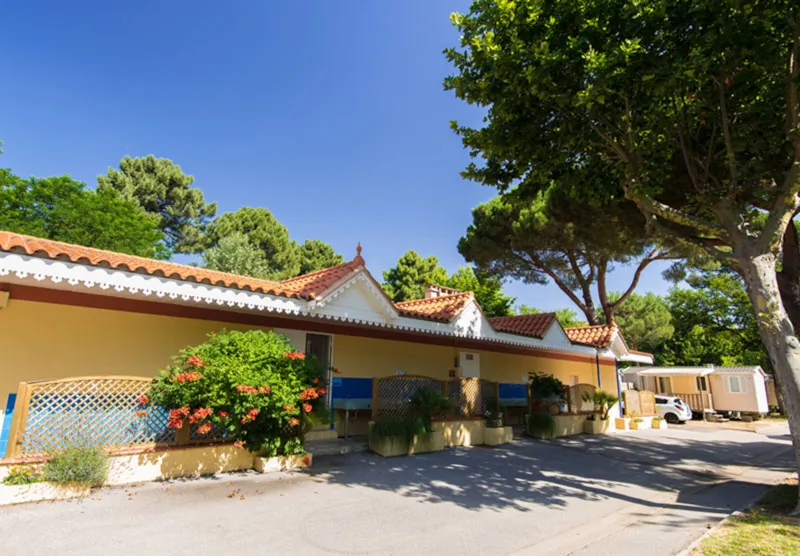 Emplacement Avec Électricité / D