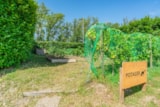 Foto #3 van Camping Homair – L’Ile du Rhin