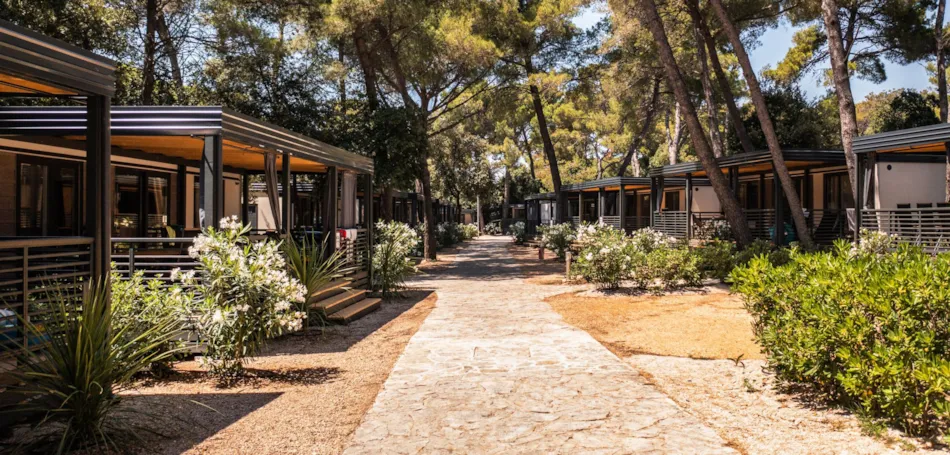 Camp Ljutić