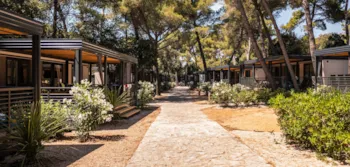 Camp Ljutić - MyCamping