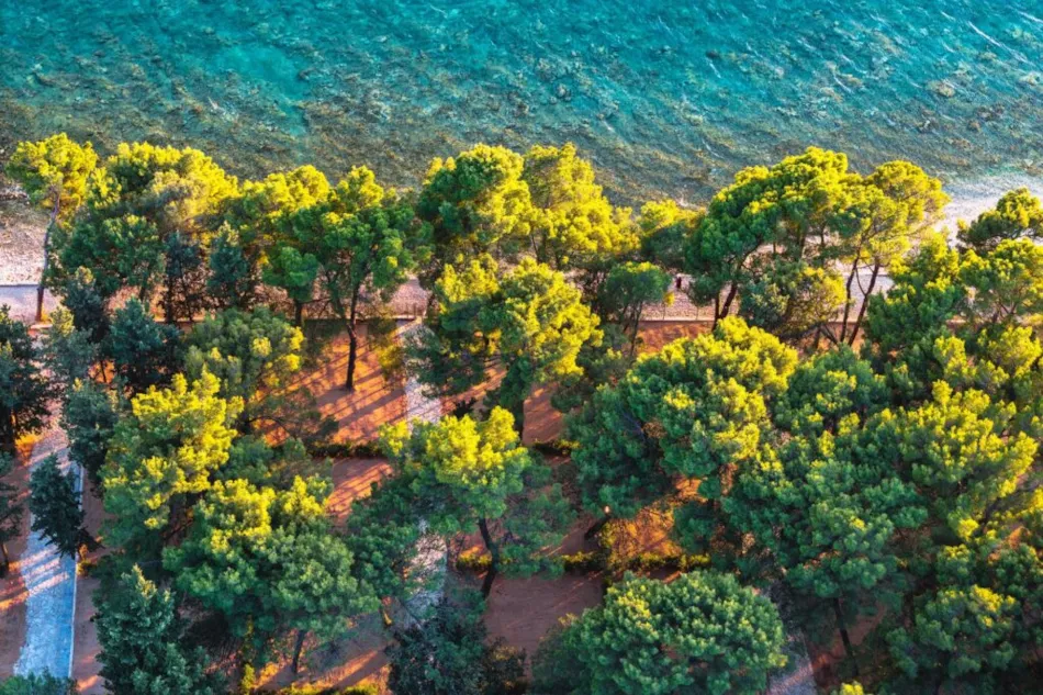 Camp Ljutić