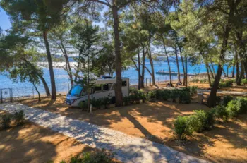 Kampeerplaats(en) - Kampeerplaats Adriatisch Zeezicht 10X10m - Camp Ljutić