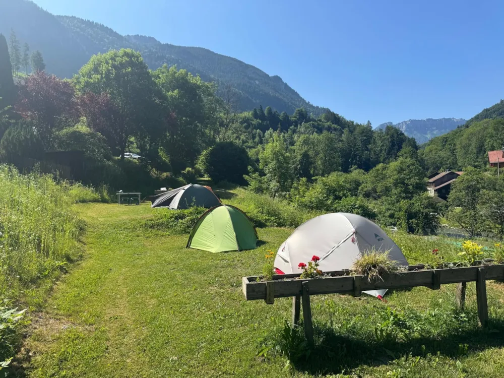 Camping Les Marronniers - image n°1 - RhoneAlpes