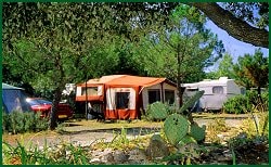 Kampeerplaats(en) - Natuurpakket : 1 Tent Of Caravan + 1 Auto (Zonder Elektriciteit) - Camping L'OLIVERAIE