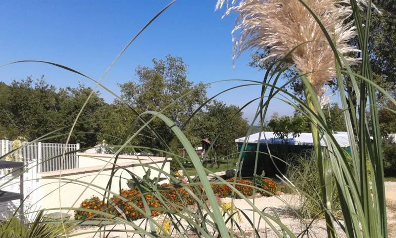 Emplacement (Voiture + Caravane/Tente)