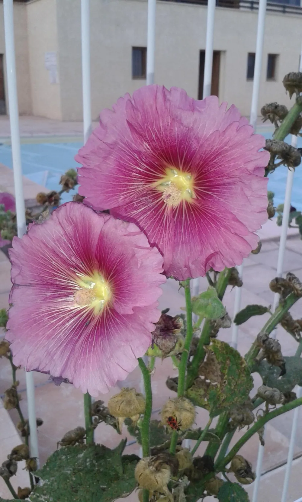 Camping Bellevue - image n°30 - UniversalBooking