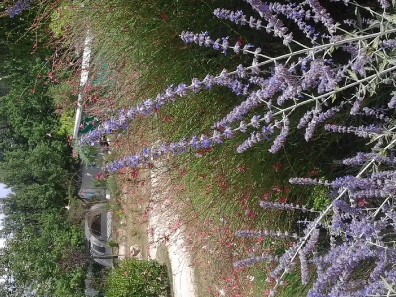 Emplacement (Voiture + Caravane/Tente)