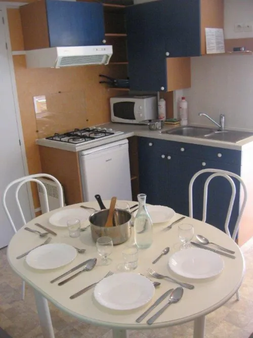 Location - Mobil-Home - image n°2 - Capfun - Domaine Le Grand Lierne