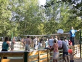 Camping La Grande Tortue