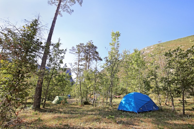 Pauschale Camping Stellplatz Comfort