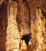 Foto #38 van Camping Les Genêts